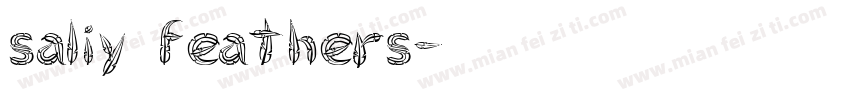 saliy feathers字体转换